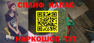 мдпв Гусев