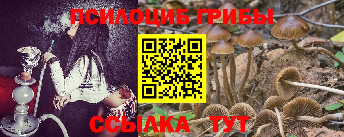 Псилоцибиновые грибы мухоморы  Вход с VPN  Псилоцибиновые грибы Psilocybine cubensis  Курган 